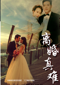 电视剧《离婚真难》